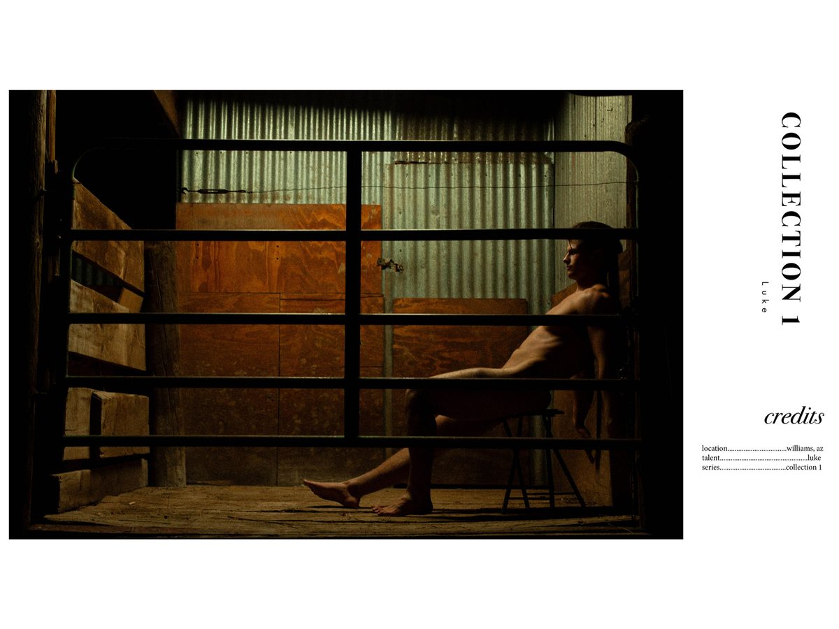 Spread 6 of 6 from The Woodsman: a nude young man sits on a stool behind a metal gate in a workshop, beside the collection's title and credits; colour, low light.